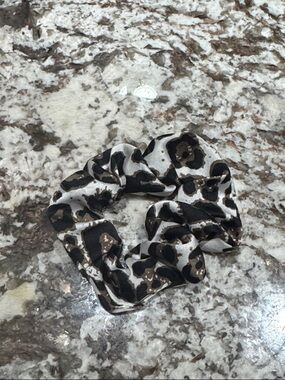 Leopard Print Satin Scrunchie - Black & Brown